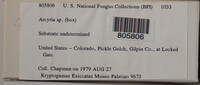 Image Associated With the Occurence
